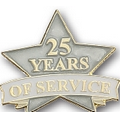 25 Years of Service Stock Pin